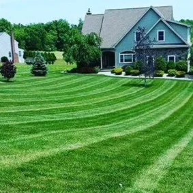 Landscaping Landscaping