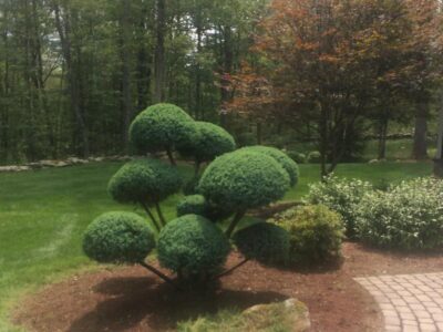 Landscaping Landscaping