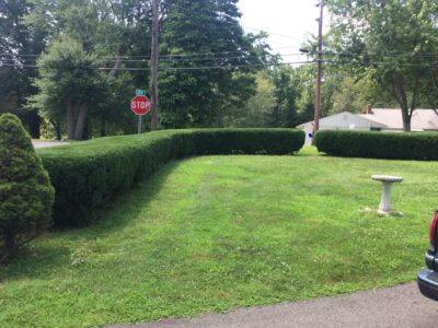 Lawn Maintenance Lawn Maintenance